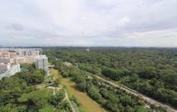 Eco Sanctuary (D23), Condominium #139492482
